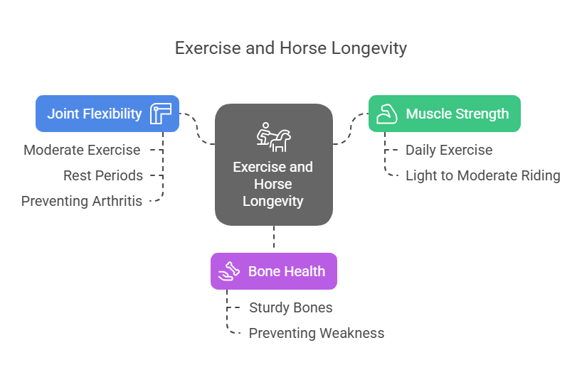 Exercise
