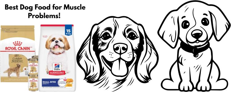 Best Dog Food for Muscle Problems!