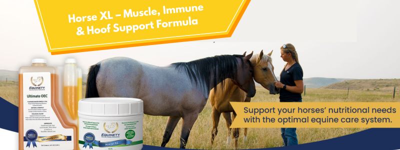 Horse XL – Amino Acid Supplement for Coat, Joints & Hooves