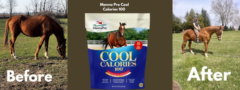 Manna Pro Cool Calories 100 Horse Weight Gain Supplement